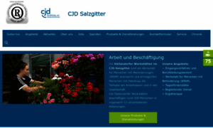 Cjd-salzgitter.de thumbnail