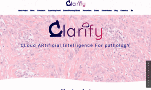 Clarify-project.eu thumbnail