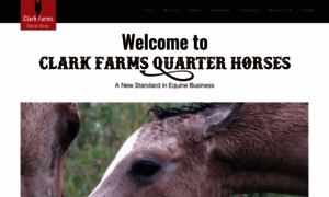 Clarkfarms.org thumbnail