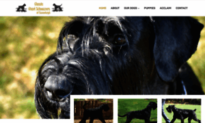 Classicgiantschnauzers.com thumbnail