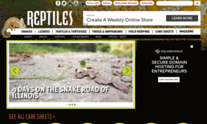 Classified.reptilesmagazine.com thumbnail