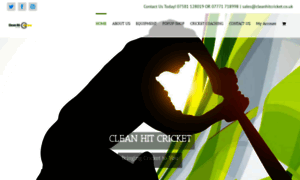 Cleanhitcricket.co.uk thumbnail