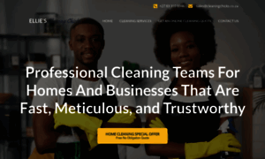 Cleaningchicks.co.za thumbnail