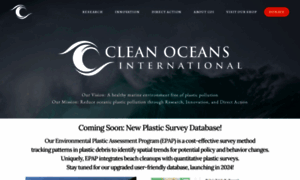 Cleanoceansinternational.org thumbnail