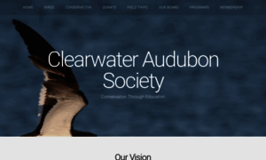 Clearwateraudubonsociety.org thumbnail