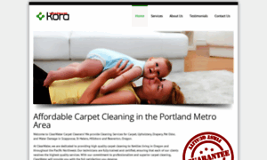 Clearwatercarpetcleaners.net thumbnail