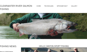 Clearwaterriversalmonfishing.com thumbnail