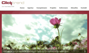 Clicktrend-media.com thumbnail