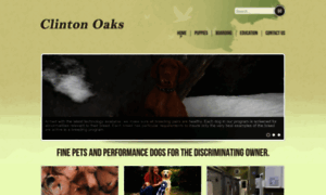 Clintonoaks.com thumbnail