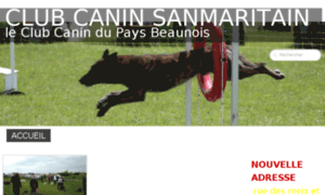 Clubcaninbeaune.fr thumbnail