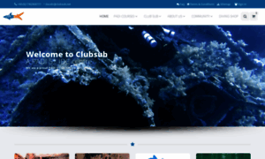 Clubsub.net thumbnail