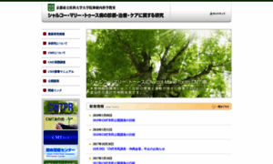 Cmt-japan.com thumbnail
