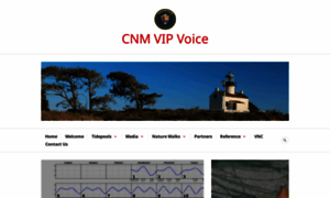 Cnmvipvoice.org thumbnail