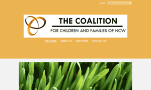 Coalitionforchildrenandfamilies.org thumbnail