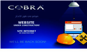 Cobra.com.dz thumbnail