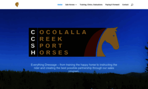 Cocolallacreeksporthorses.com thumbnail