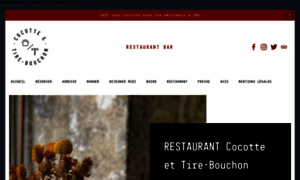 Cocotte-et-tire-bouchon.com thumbnail