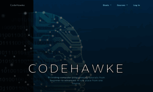 Codehawke.com thumbnail
