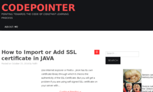 Codepointer.in thumbnail