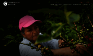 Coffeeinstitute.org thumbnail