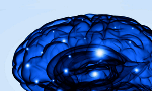 Cognitivemodelinglab.com thumbnail