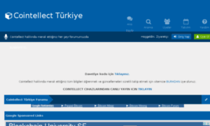 Cointellectturkiye.com thumbnail