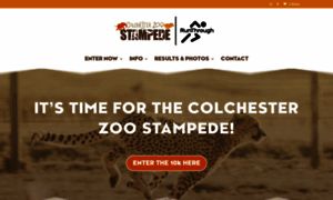 Colchesterstampede.com thumbnail