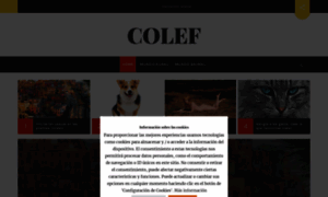 Colef.net thumbnail