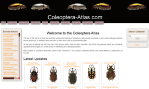 Coleoptera-atlas.com thumbnail