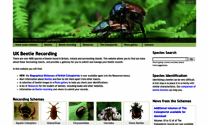 Coleoptera.org.uk thumbnail