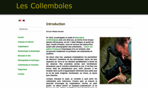 Collemboles.fr thumbnail