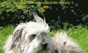 Collie-in-not-tierschutz.de thumbnail