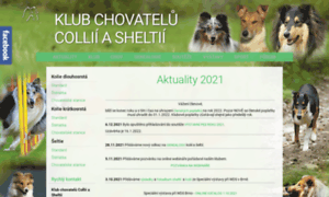 Collie-sheltie-club.cz thumbnail