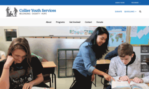 Collieryouthservices.org thumbnail