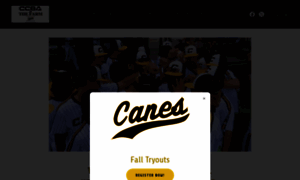 Collincountybaseball.com thumbnail