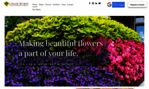 Color-burst.com thumbnail