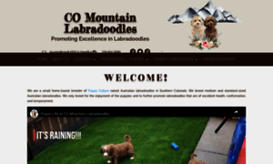 Coloradomountainlabradoodles.com thumbnail