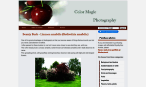 Colormagicphotography.com thumbnail