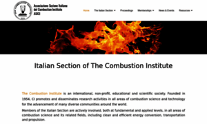 Combustion-institute.it thumbnail