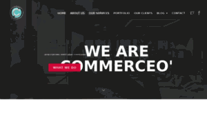 Commerceo.in thumbnail