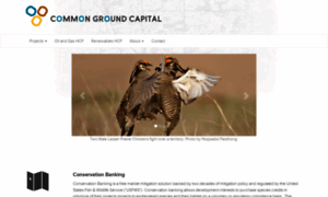 Commongroundcapital.com thumbnail