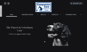 Companioncarevet.com thumbnail