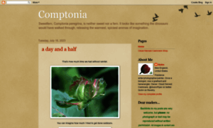 Comptonia.blogspot.com thumbnail