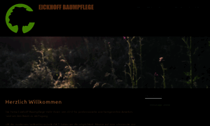 Computer-tipps.info thumbnail