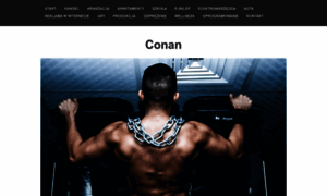 Conan-silownia.pl thumbnail