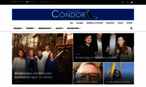 Condor.cl thumbnail