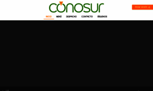 Conosur.com.co thumbnail