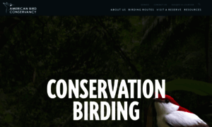 Conservationbirding.org thumbnail