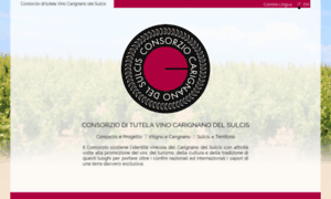 Consorziovinocarignano.it thumbnail