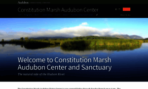 Constitutionmarsh.audubon.org thumbnail